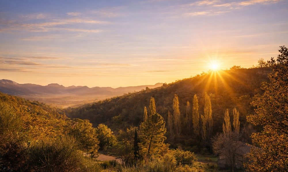 7BBF37DD-6620-47F2-B4D9-DD3C9F043C59